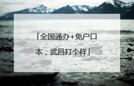 全国通办+免户口本，武昌打个样